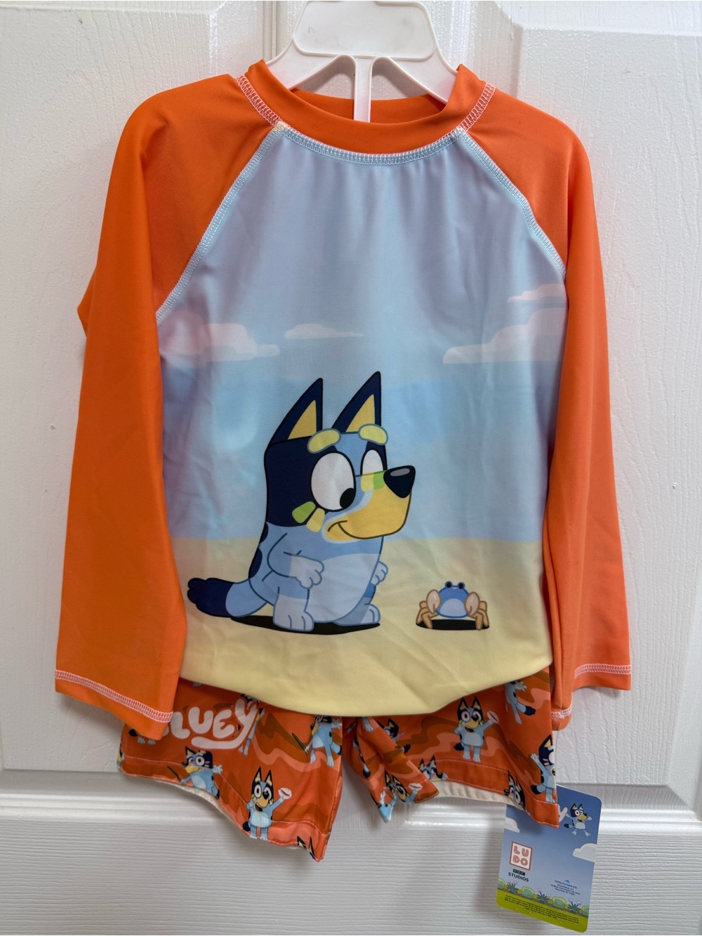 NWT Bluey Toddler Long-Sleeved Orange Rash Guard and Swim Trunks, Size 4T